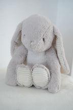 Bunny and Blanket
